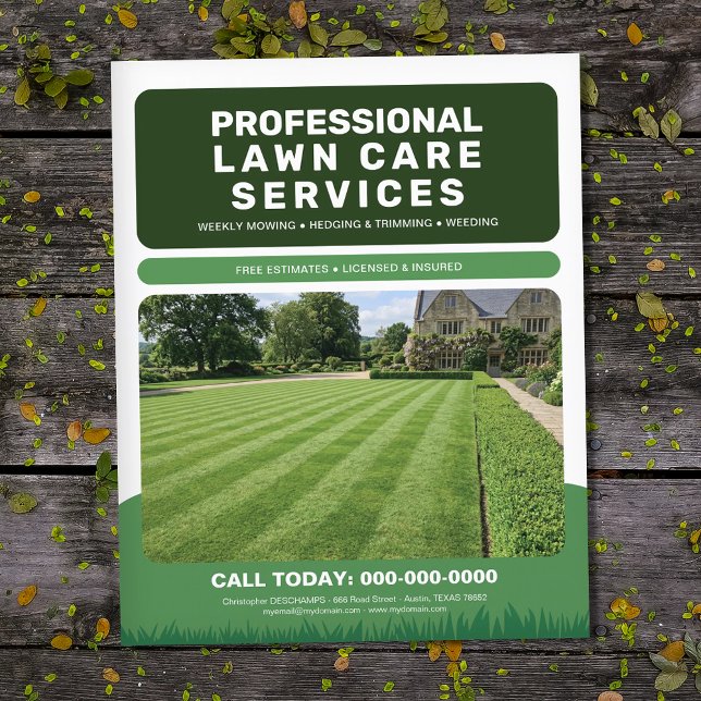 Professional Lawn Care Services Flyer (Professional Lawn Care Services Flyer)