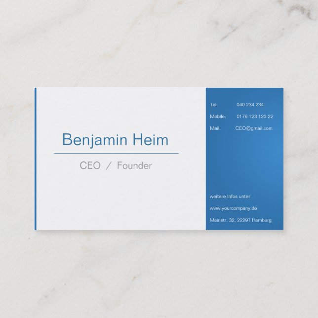 Professionelle Business Visitenkarten Blue White Visitenkarte (Rückseite)