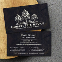 Professioneller Baumpflege-Service