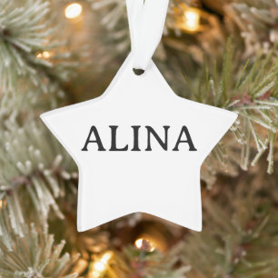 Professioneller Business-Acrylstern Ornament