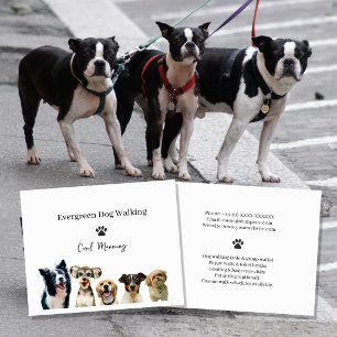 Professioneller Hundespaziergang & Haustiersitting Flyer