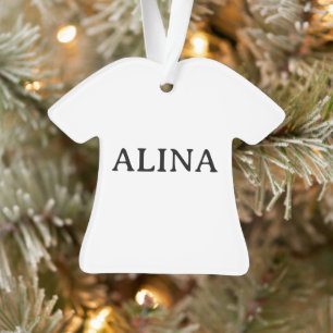 Professionelles Business-Acryl-Shirt Ornament