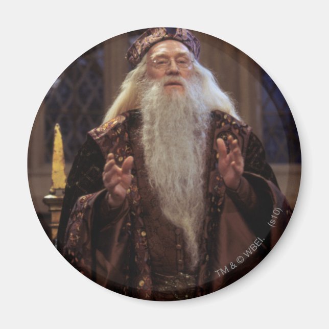 Professor Dumbledore Magnet (Vorne)