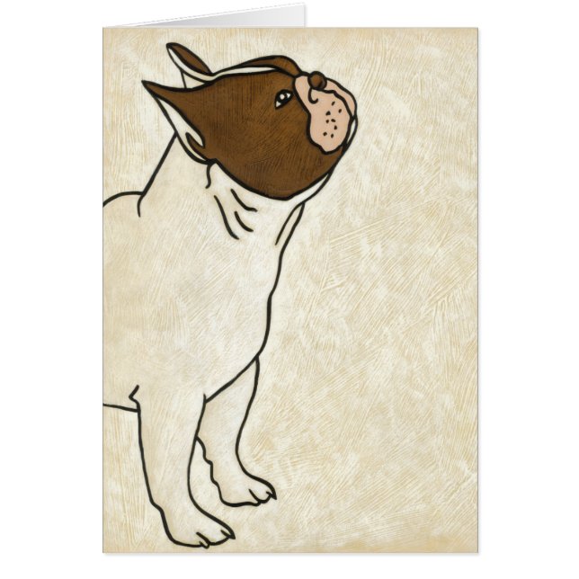 Profil de French Bulldog En tête (Devant)