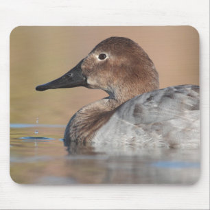 Profil der weiblichen Canvasback-Ente Mousepad