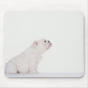 Profil des weißen Bulldoggen Mousepad