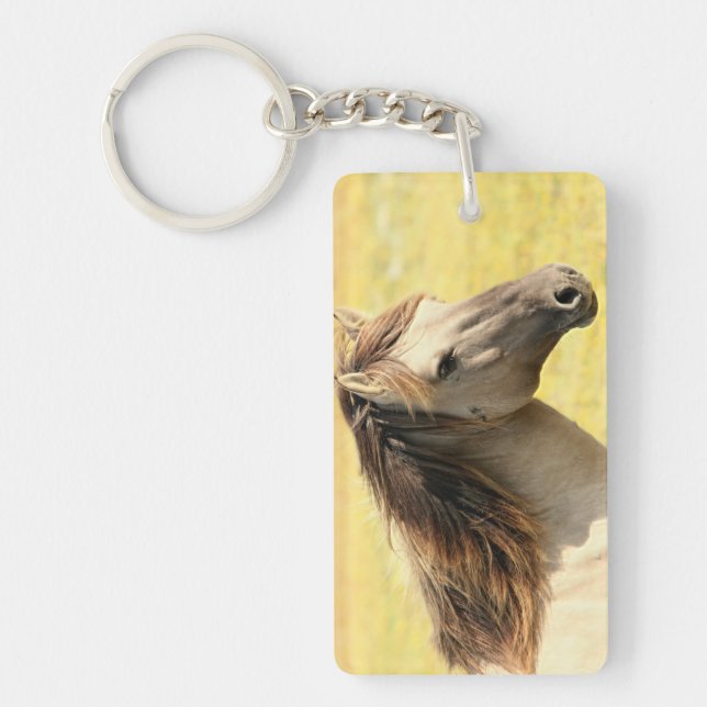 Profil du cheval beige (Devant)