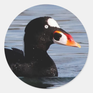 Profil einer Brandungs-Ente Drake Runder Aufkleber