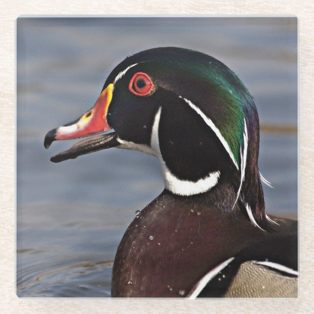 Profil einer Holzente Glasuntersetzer (Vorderseite)