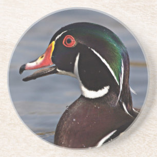 Profil einer Waldschnatter Getränkeuntersetzer