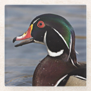 Profil einer Waldschnatter Glasuntersetzer