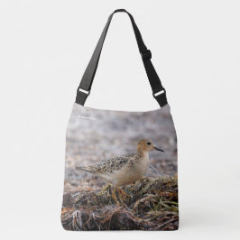 Profil eines Buff-Breasted Sandpipers am Strand Tasche