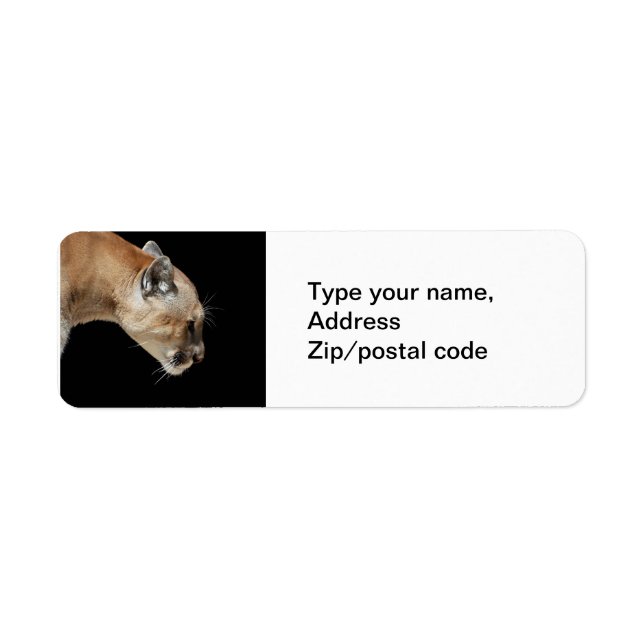 Profil eines Cougar (Vorne)