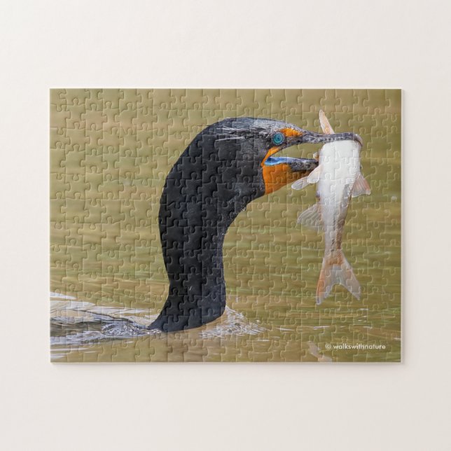 Profil eines erwachsenen, doppelkreierten Kormoran (Horizontal)