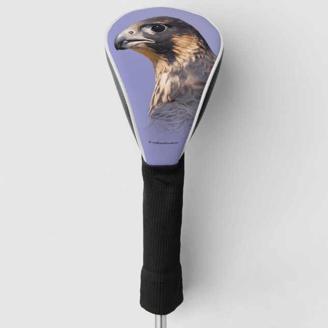 Profil eines juvenilen Peregrine-Falken Golf Headcover (Vorderseite)