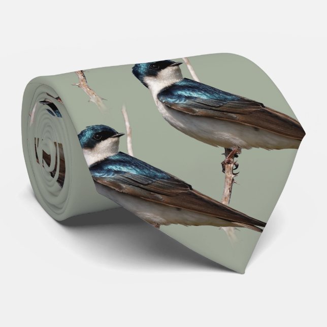 Profil eines männlichen Baumes Schlucken in der So Krawatte (Gerollt)