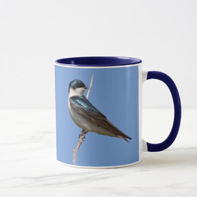 Profil eines männlichen Baumes Schlucken in der So Tasse (Rechts)