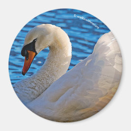 Profil eines Mute Swans Magnet
