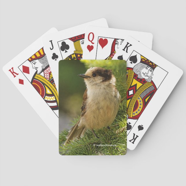Profil eines Niedlichen grauen Jay-Whiskeyjacks Spielkarten (Rückseite)