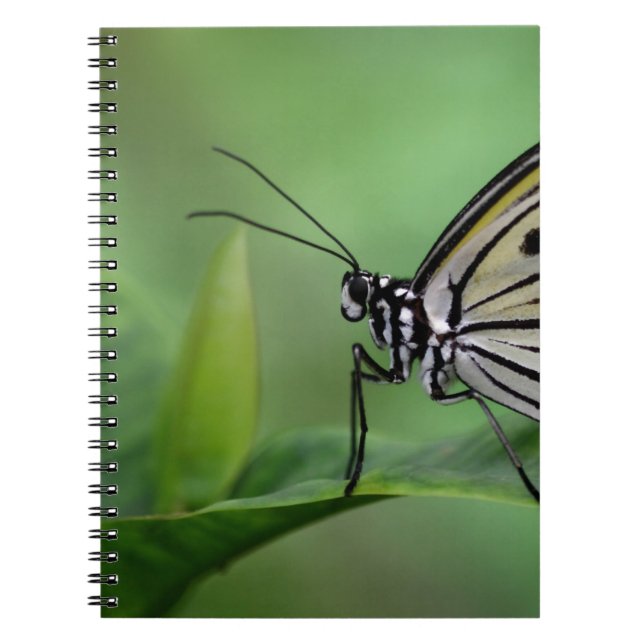 Profil eines Papierkitts Notizblock (Vorderseite)