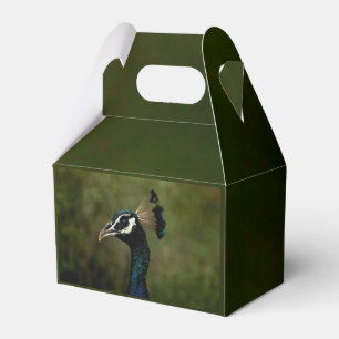 Profil eines Pfaus Geschenkschachtel