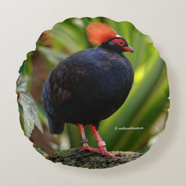 Profil eines Rodelholz-Schmiedewald-Partridge Rundes Kissen (Vorderseite)