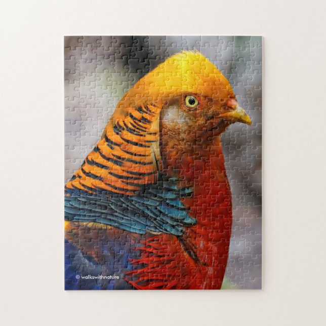 Profil eines roten Golden Pheasant (Vertikal)
