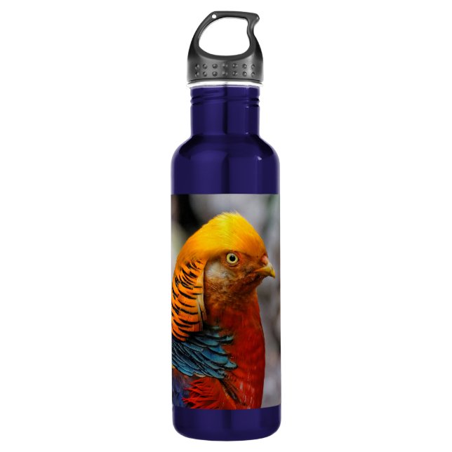 Profil eines roten Golden Pheasant Edelstahlflasche (Vorderseite)
