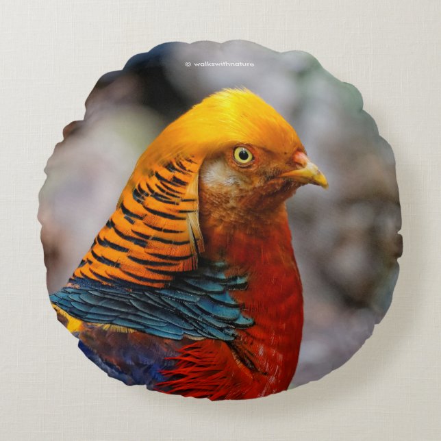 Profil eines roten Golden Pheasant Rundes Kissen (Vorderseite)