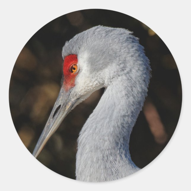 Profil eines Sandhügelkrans Runder Aufkleber (Vorderseite)