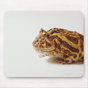 Profil gehörnten Frosches Argentiniens Mousepad