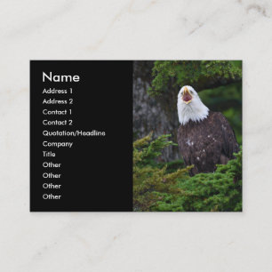 Profil oder Visitenkarte, Adler Visitenkarte