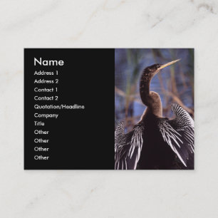 Profil oder Visitenkarte, Anhinga Visitenkarte