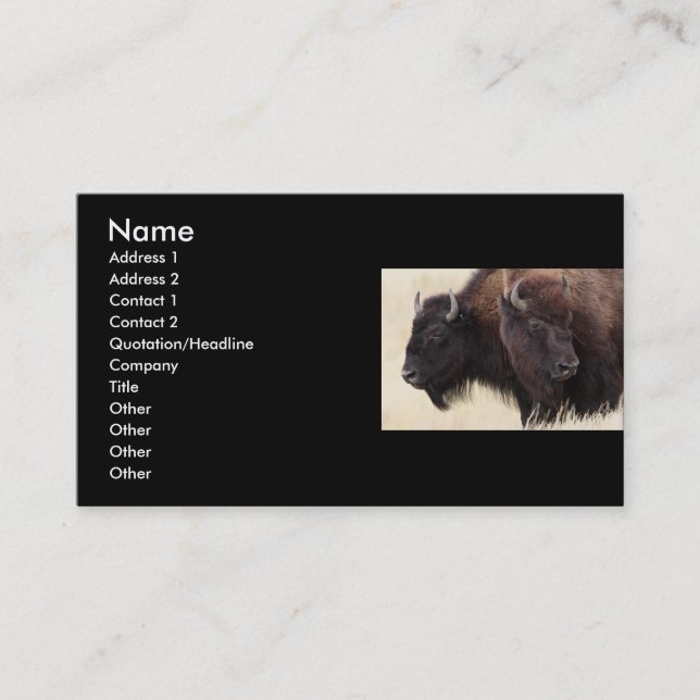 Profil oder Visitenkarte, Bison Visitenkarte (Vorderseite)