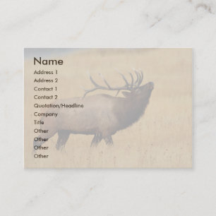 Profil oder Visitenkarte, Elch Visitenkarte