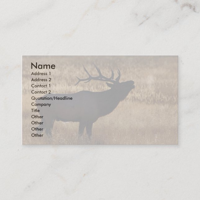 Profil oder Visitenkarte, Elchsignalhorn Visitenkarte (Vorderseite)