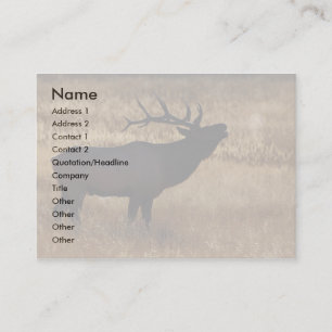 Profil oder Visitenkarte, Elchsignalhorn Visitenkarte