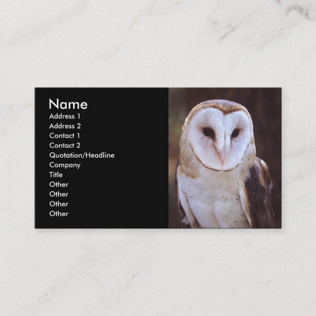 Profil oder Visitenkarte, Eule Visitenkarte (Vorderseite)