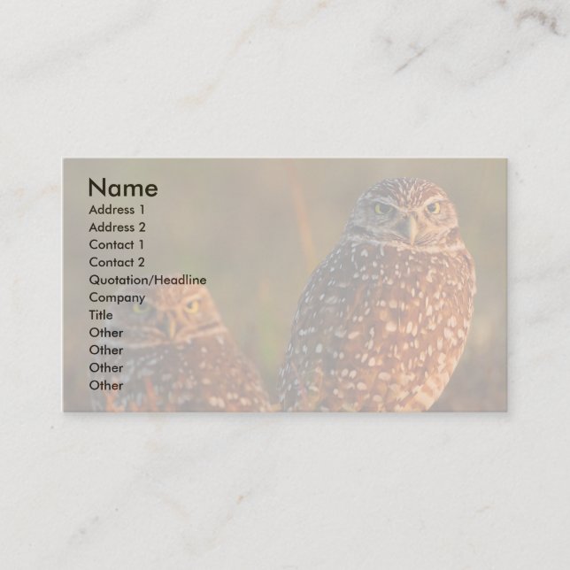 Profil oder Visitenkarte, Eulen grabend Visitenkarte (Vorderseite)