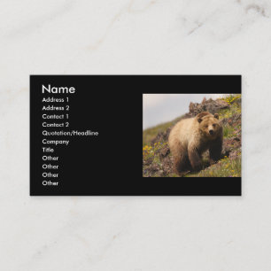 Profil oder Visitenkarte, Grizzlybär Visitenkarte