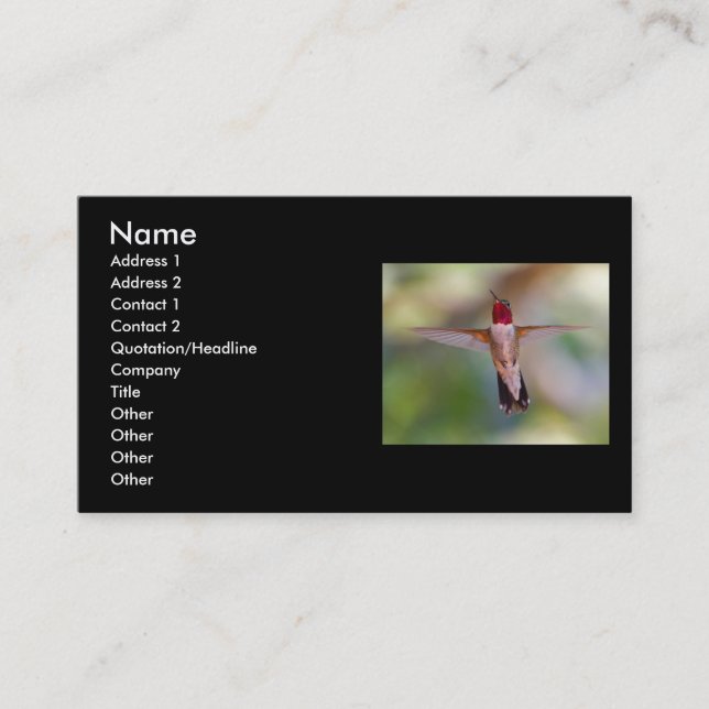 Profil oder Visitenkarte, Kolibri Visitenkarte (Vorderseite)