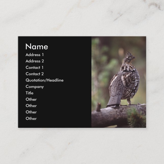 Profil oder Visitenkarte, Waldhuhn Visitenkarte (Vorderseite)