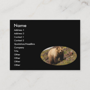 profil ou carte de visite, ours gris