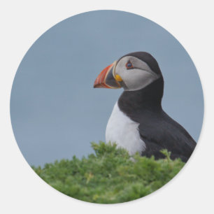 Profil Puffin Runder Aufkleber