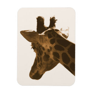 Profil Reticulate Giraffe Magnet