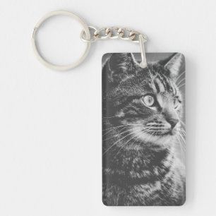 Profil tabby Gros yeux Noir et blanc
