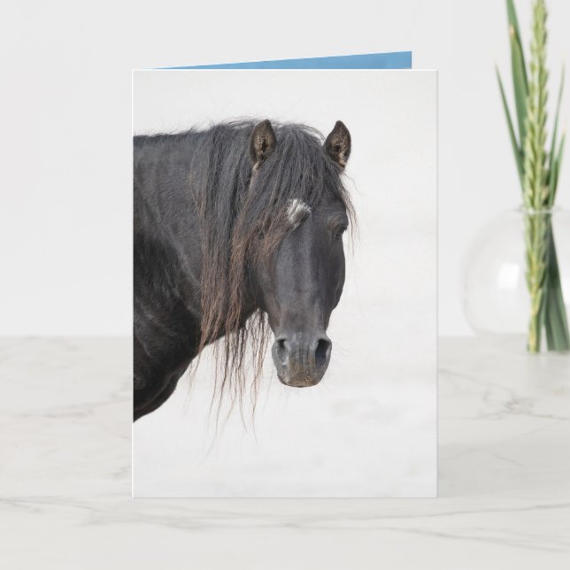 Profil von Sable Island Hallion - Grußkarte Dankeskarte (Vorderseite)