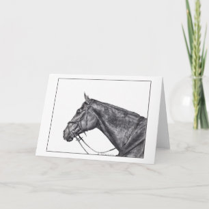 Profil von Sullivan Karte