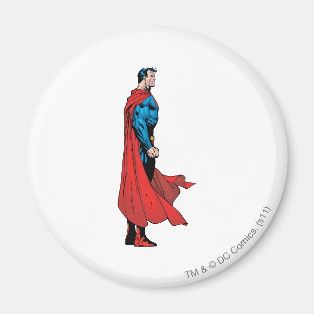 Profilansicht Magnet (Vorne)