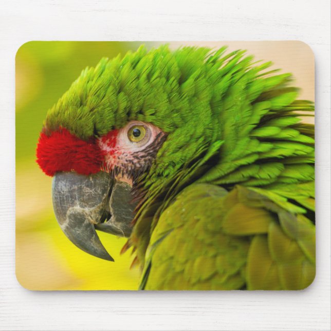Profile of macaw at Santa Barbara Zoo Mousepad (Vorne)